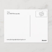 Faro Briefkaart (Achterkant)