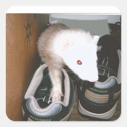 Farret en de schoen vierkante sticker (Voorkant)