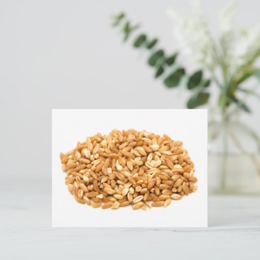 Farro Briefkaart (Staand voorkant)