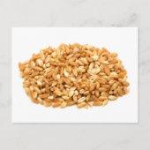 Farro Briefkaart (Voorkant)