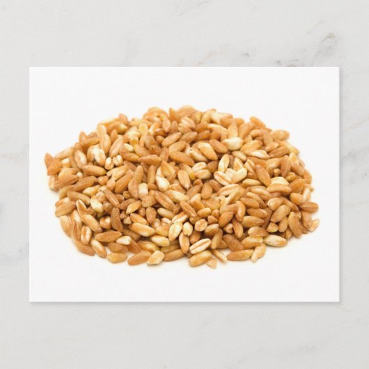 Farro Briefkaart (Voorkant)