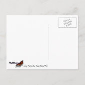 Farview Point in Bryce Canyon National Park Briefkaart (Achterkant)