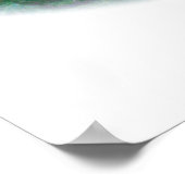 Fasant: Lady Amherst Head Poster (Hoek)