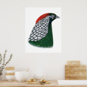 Fasant: Lady Amherst Head Poster (Keuken)