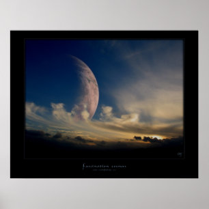 Fascination Cosmos Poster