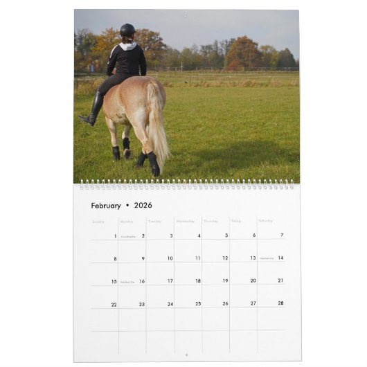 Fascination Haflinger Kalender (Feb 2026)