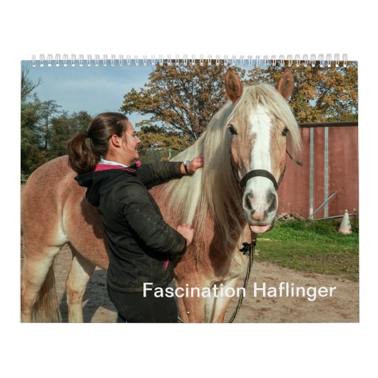 Fascination Haflinger Kalender (Hoes)