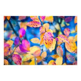 Fascinerende Cotonou-leder Foto Afdruk