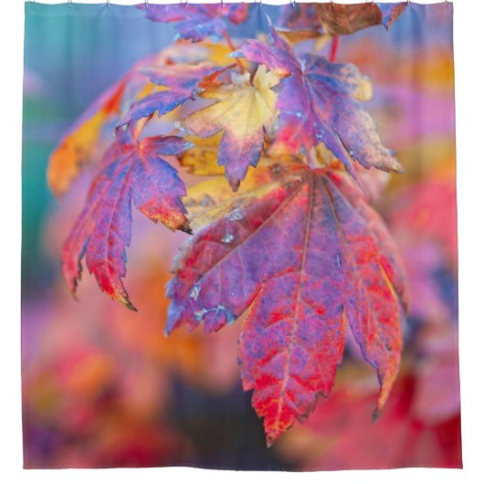 Fascinerende Japanse mazelbladeren Douchegordijn (Voorkant)