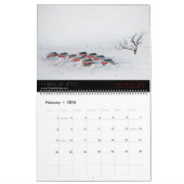 Fascinerende Natuur Landschappen & Seascapes Kalender (Feb 2026)