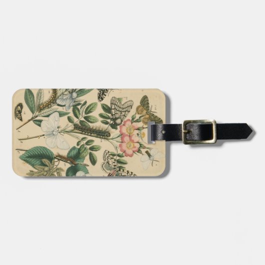 Fasen van Butterfly Life by Vision Studio Bagagelabel (Voorkant horizontaal)