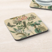 Fasen van Butterfly Life by Vision Studio Bier Onderzetter (Linkerzijde)