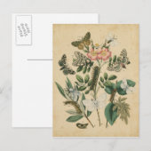 Fasen van Butterfly Life by Vision Studio Briefkaart (Voorkant / Achterkant)