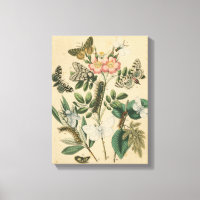 Fasen van Butterfly Life by Vision Studio