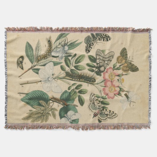 Fasen van Butterfly Life by Vision Studio Deken (Voorkant)