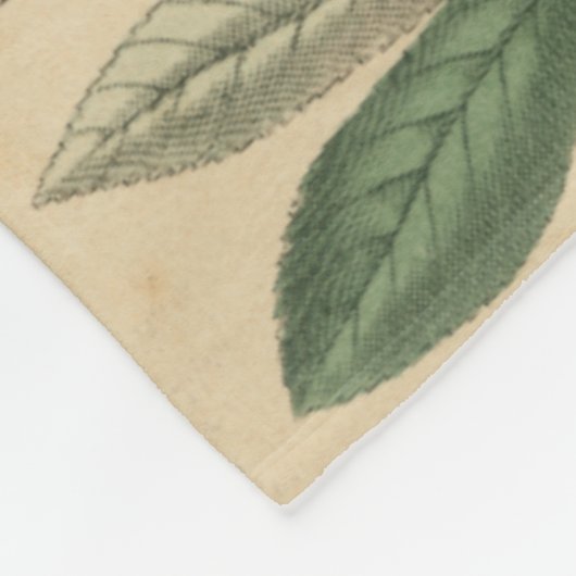 Fasen van Butterfly Life by Vision Studio Fleece Deken (Hoek)