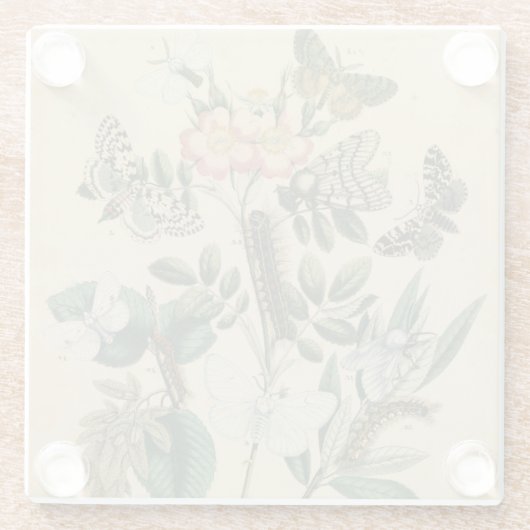 Fasen van Butterfly Life by Vision Studio Glazen Onderzetter (Achterkant)