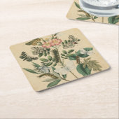 Fasen van Butterfly Life by Vision Studio Kartonnen Onderzetters (Schuin)