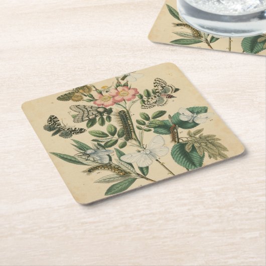 Fasen van Butterfly Life by Vision Studio Kartonnen Onderzetters (Schuin)