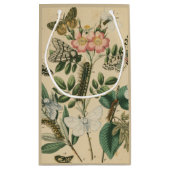 Fasen van Butterfly Life by Vision Studio Klein Cadeauzakje (Achterkant)