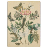 Fasen van Butterfly Life by Vision Studio Klembord (Achterkant)