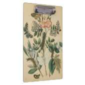 Fasen van Butterfly Life by Vision Studio Klembord (Rechts)