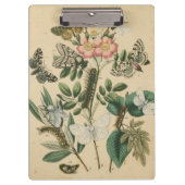 Fasen van Butterfly Life by Vision Studio Klembord (Voorkant)