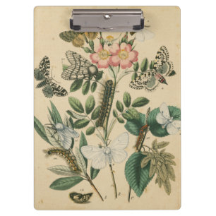 Fasen van Butterfly Life by Vision Studio Klembord