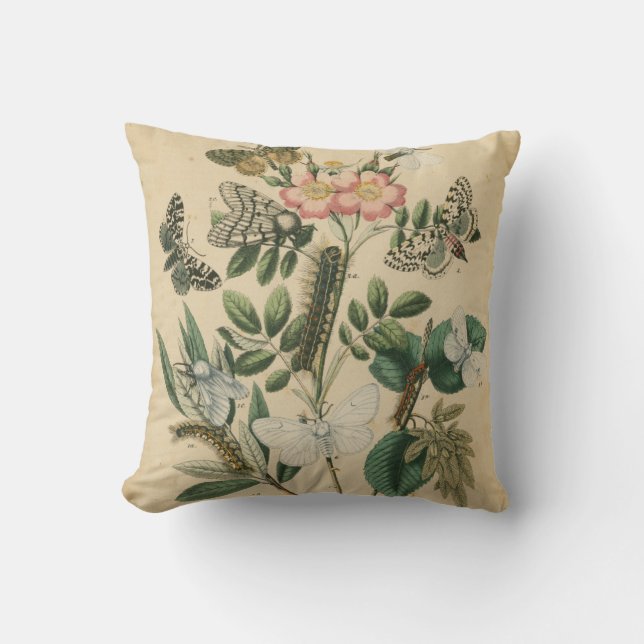 Fasen van Butterfly Life by Vision Studio Kussen (Voorkant)