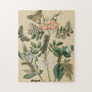 Fasen van Butterfly Life by Vision Studio Legpuzzel