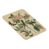 Fasen van Butterfly Life by Vision Studio Magneet (Rechterzijde)