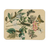 Fasen van Butterfly Life by Vision Studio Magneet (Horizontaal)