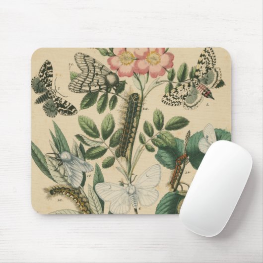 Fasen van Butterfly Life by Vision Studio Muismat (Met muis)