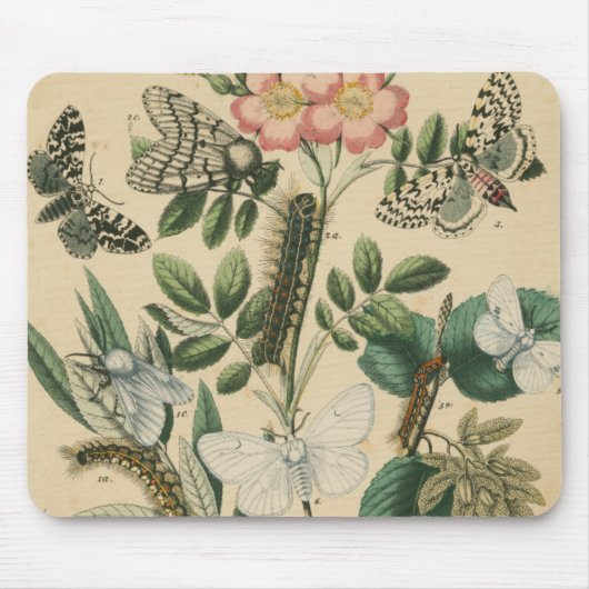 Fasen van Butterfly Life by Vision Studio Muismat (Voorkant)