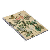 Fasen van Butterfly Life by Vision Studio Notitieboek (Rechterzijde)