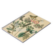 Fasen van Butterfly Life by Vision Studio Notitieboek (Linkerzijde)