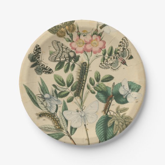 Fasen van Butterfly Life by Vision Studio Papieren Bordje (Voorkant)