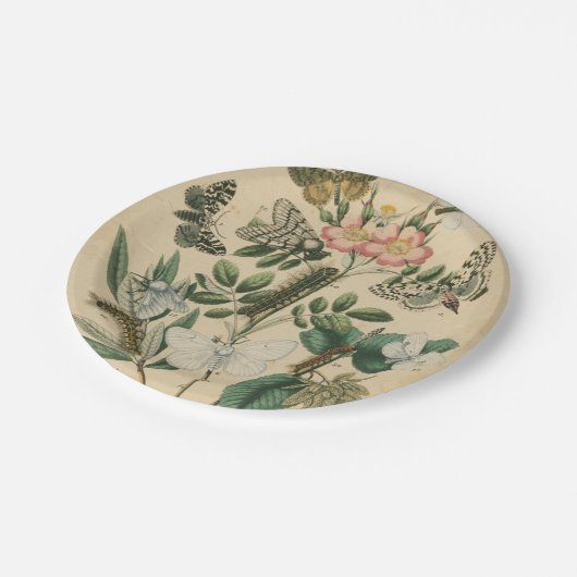 Fasen van Butterfly Life by Vision Studio Papieren Bordje (Gekanteld)