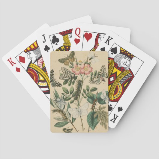 Fasen van Butterfly Life by Vision Studio Pokerkaarten (Achterkant)