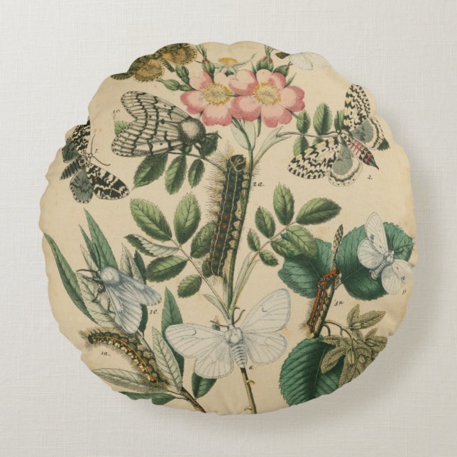 Fasen van Butterfly Life by Vision Studio Rond Kussen (Voorkant)