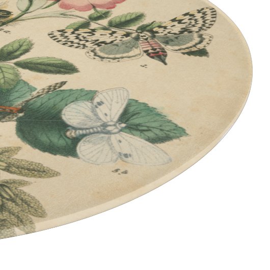 Fasen van Butterfly Life by Vision Studio Snijplank (Hoek)