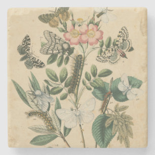 Fasen van Butterfly Life by Vision Studio Stenen Onderzetter