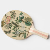 Fasen van Butterfly Life by Vision Studio Tafeltennisbatje (Zijkant)