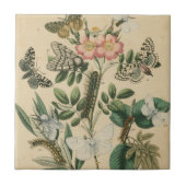 Fasen van Butterfly Life by Vision Studio Tegeltje (Voorkant)