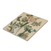 Fasen van Butterfly Life by Vision Studio Tegeltje (Zijkant)