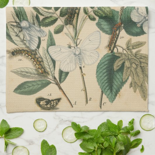 Fasen van Butterfly Life by Vision Studio Theedoek (Gevouwen)