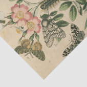 Fasen van Butterfly Life by Vision Studio Tissuepapier (Detail)