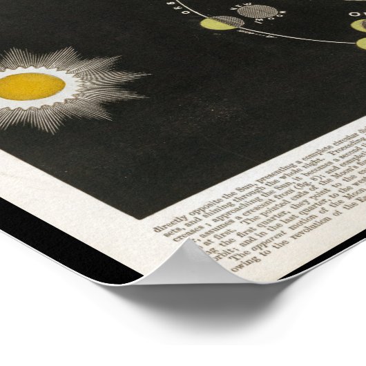 Fasen van de Maan Druk Poster (Hoek)