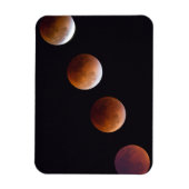 Fasen van de totale lineaire uitloop | Seattle Magneet (Verticaal)