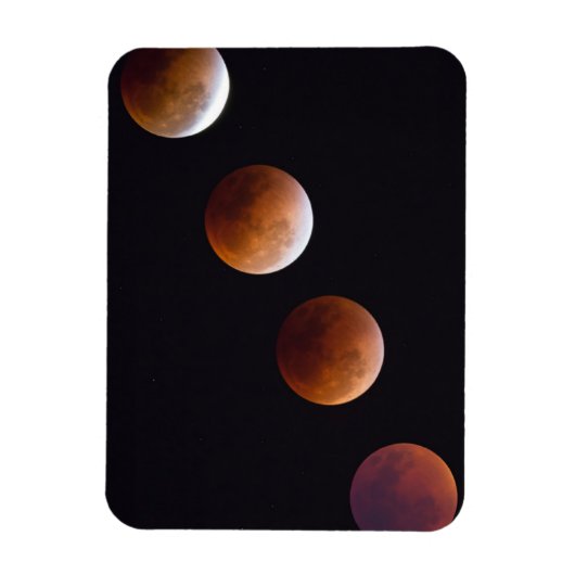 Fasen van de totale lineaire uitloop | Seattle Magneet (Verticaal)